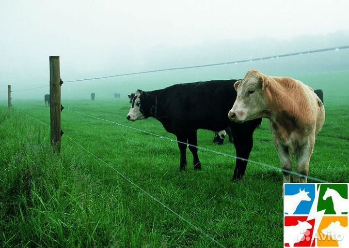 Электропастух