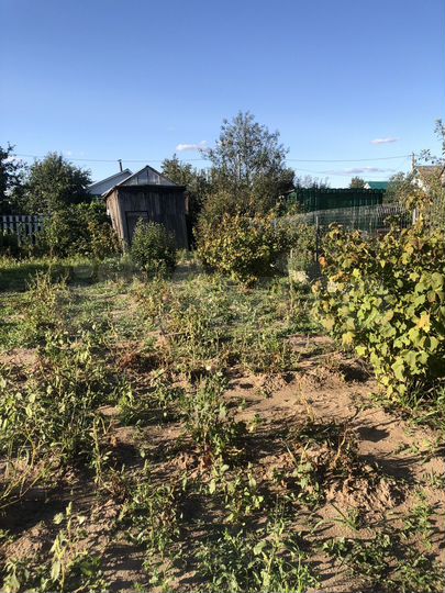Участок 5 сот. (СНТ, ДНП)