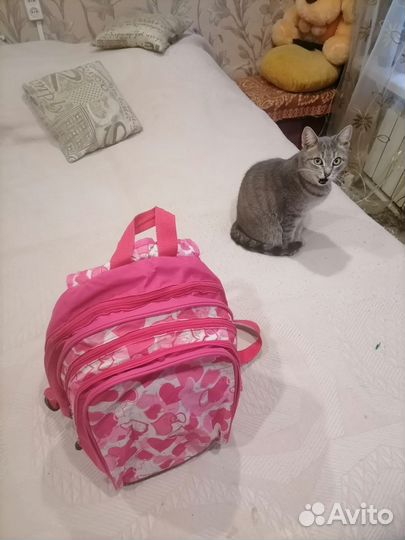 Рюкзак для девочки