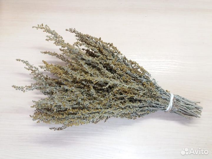 Полынь горькая