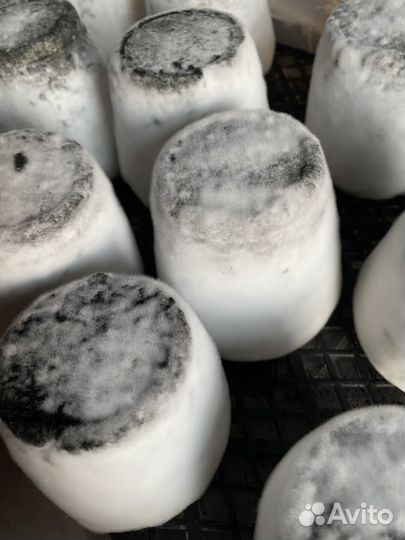 Сыр домашний козий