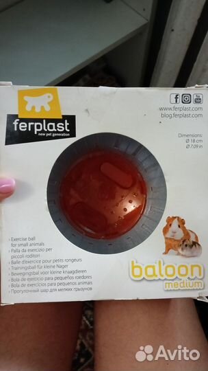 Прогулочный шар для грызунов