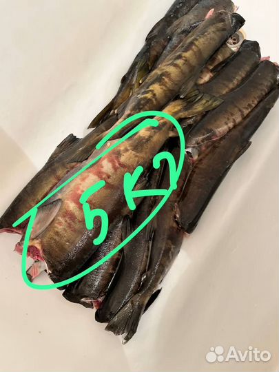 Кета свежемороженная разделанная