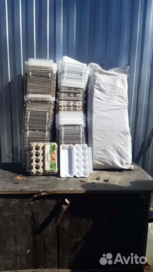 Ячейки для яиц