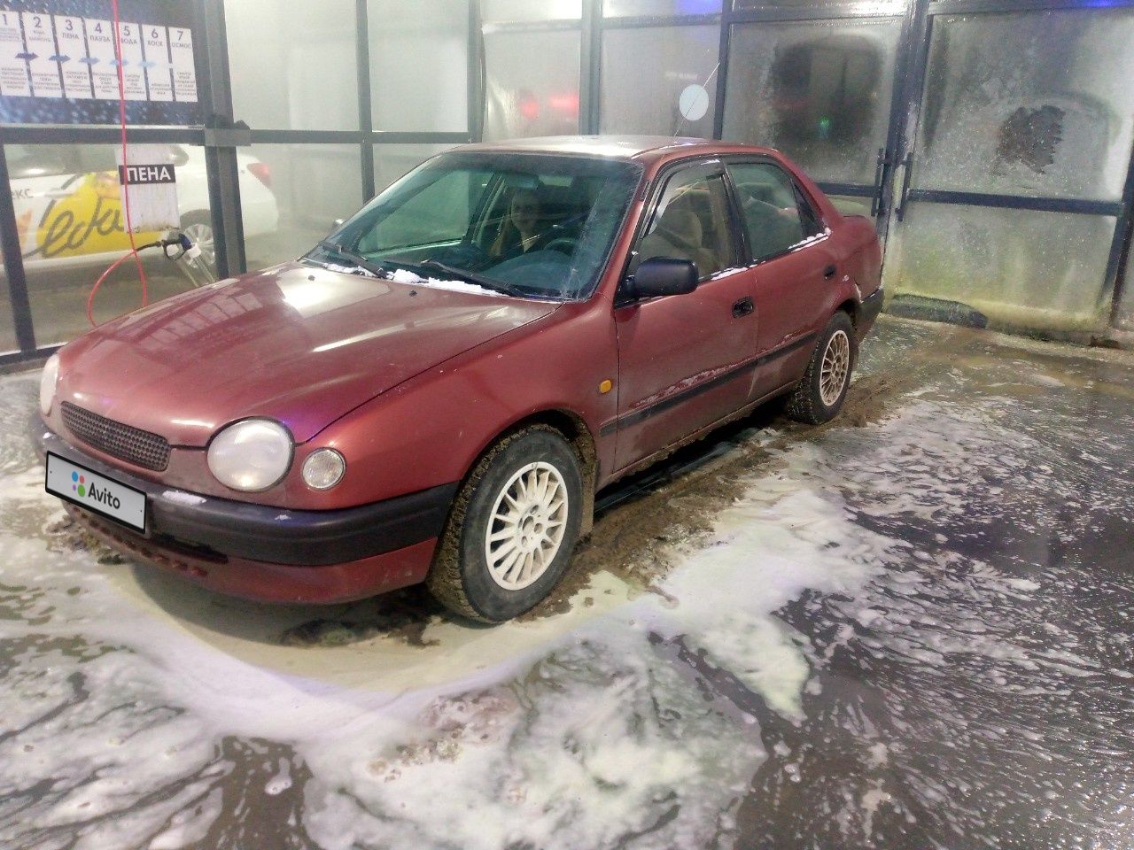 Toyota Corolla: фото владельца