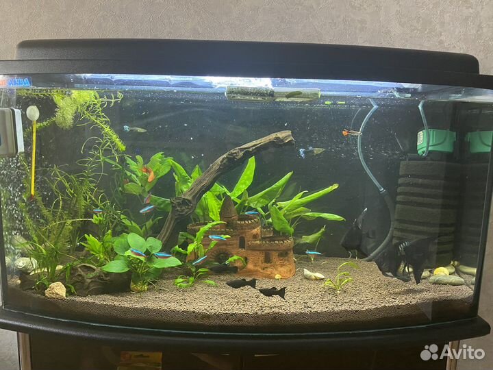 Аквариум