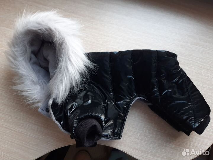 Одежда для маленьких собак зимняя