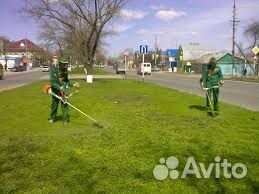 Покос скос травы на учстке триммером