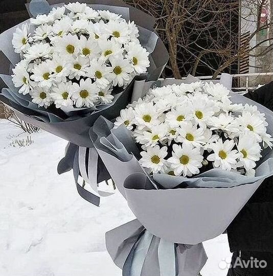 Доставка букетов и цветов. Хризантема