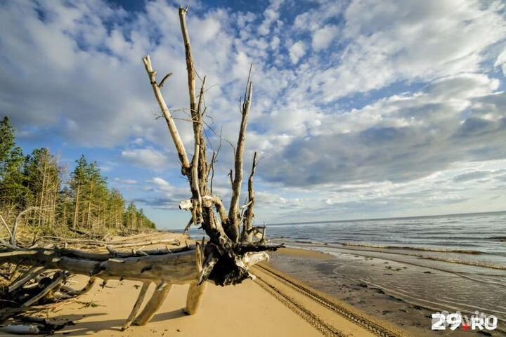 Тур выходного дня и Рыбалка у острова смерти