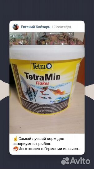 Корм Тетра Tetra. Растения. Пецилия анциструс сом