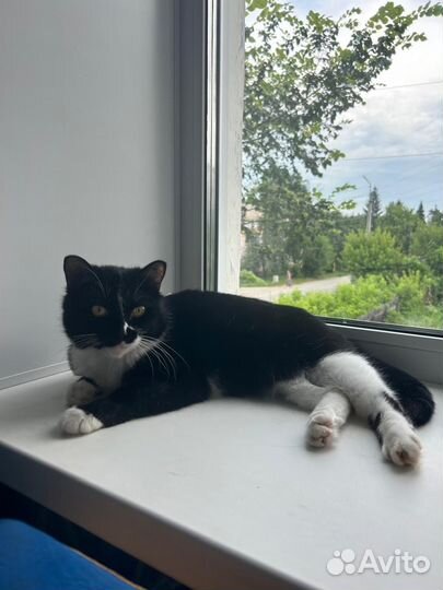 Скоро выбросят