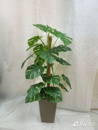 Монстера Премиум цветок искусственный в офис кафе