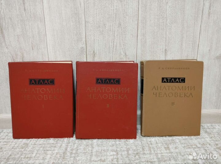 Атлас анатомии 1968, 1972, 1973 Сидельников