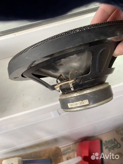 Динамики magnat