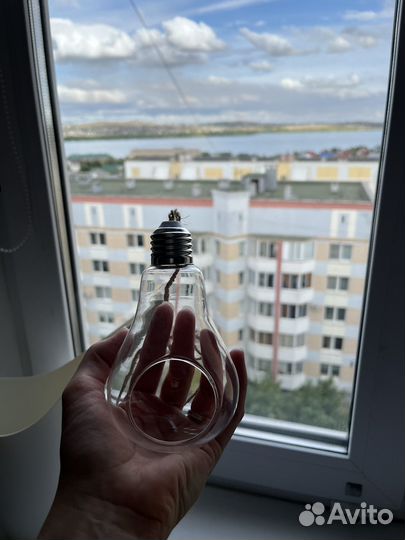 Ваза суккуленты флорариум лампа