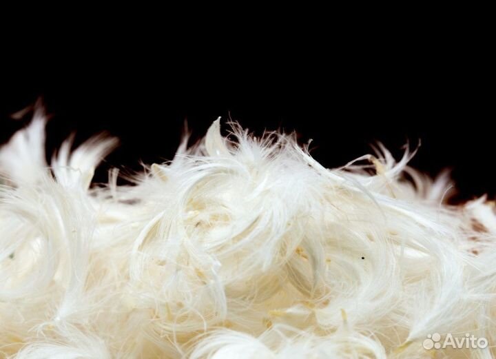 Пух перо гусиный