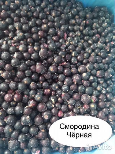 Смородина свежезамороженная