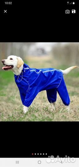 Дождевик для большой собаки