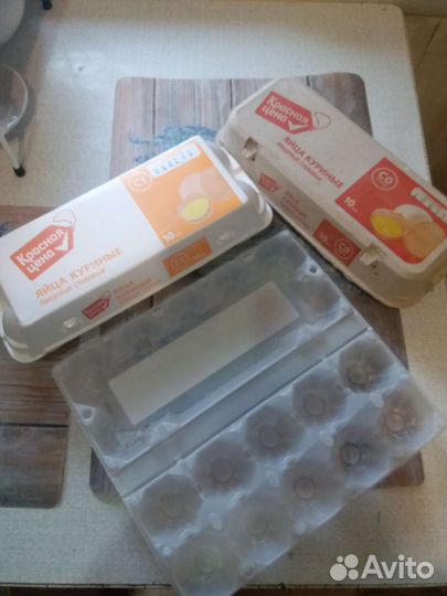 Лотки для яиц