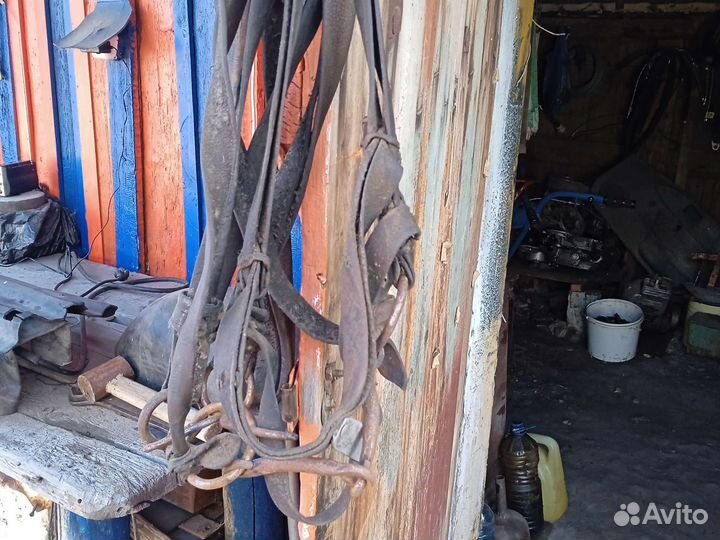 Уздечка для лошади бу