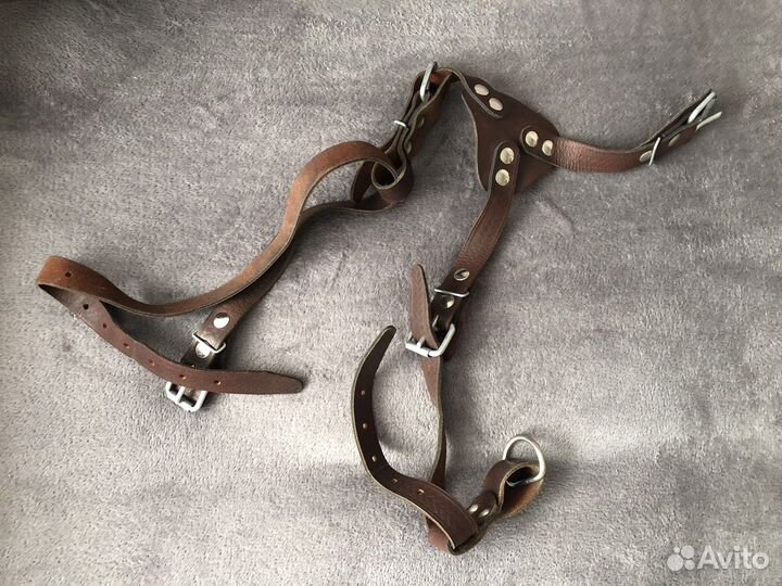 Шлейка для крупных собак