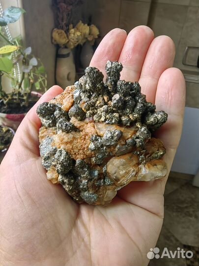 Минерал дендритовый пирит на кальците