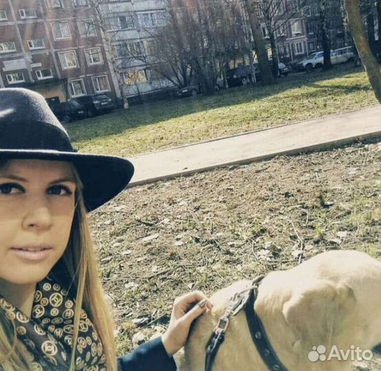 Догситтер/выгульщик/зооняня