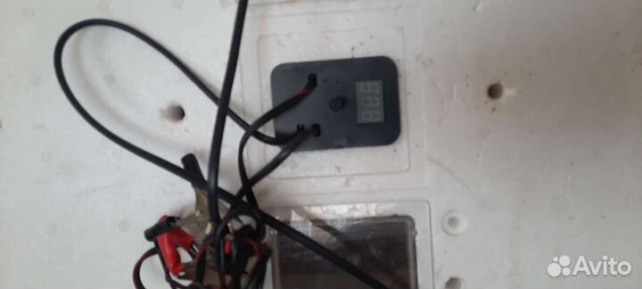 Инкубатор несушка на 77 яиц