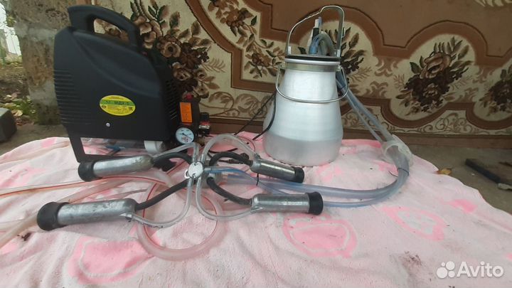 Доильный аппарат для коров