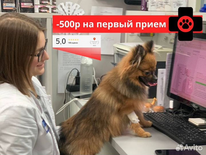 Ветеринарный врач