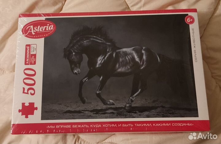 Пазл Asteria 500
