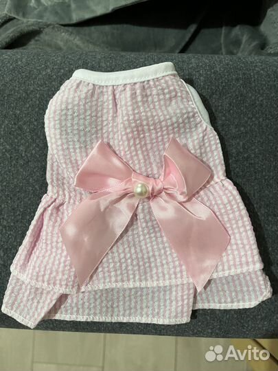 Платье на маленькую собаку или котенка