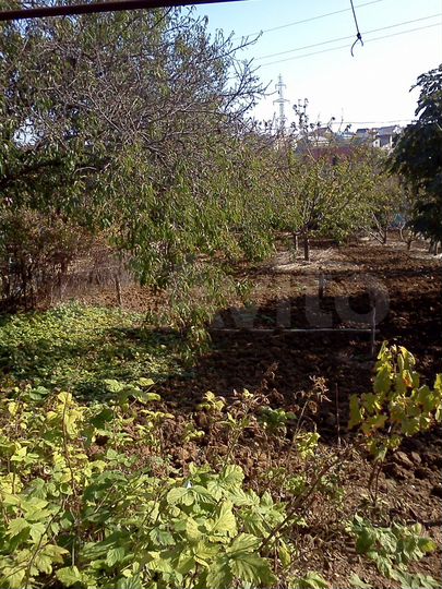 Участок 10 сот. (СНТ, ДНП)