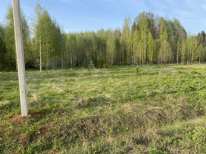 Участок 20 сот. (ИЖС)