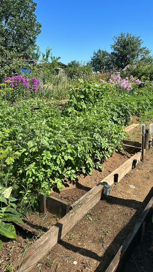 Дача 10 м² на участке 5 сот.