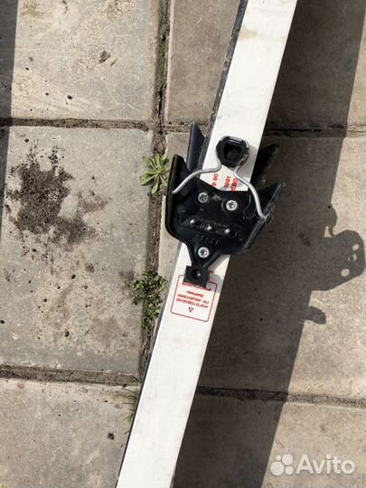 Беговые лыжи fischer