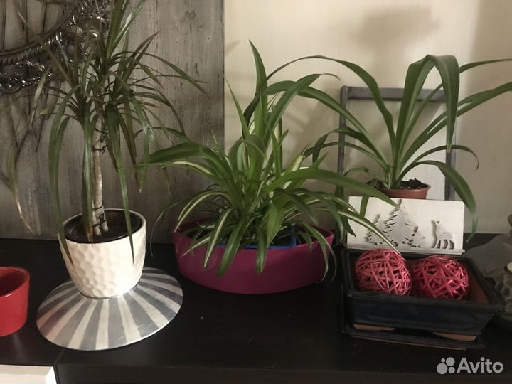 Кашпо икеа kardemumma, Горшки для цветов