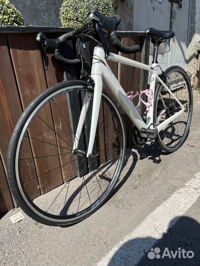 Велосипед Canyon Endurace CF (2021)