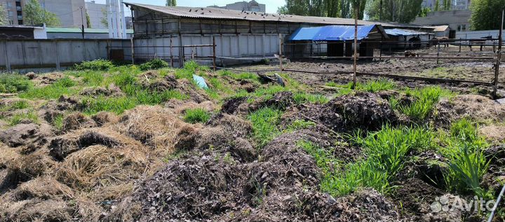 Навоз бесплатно