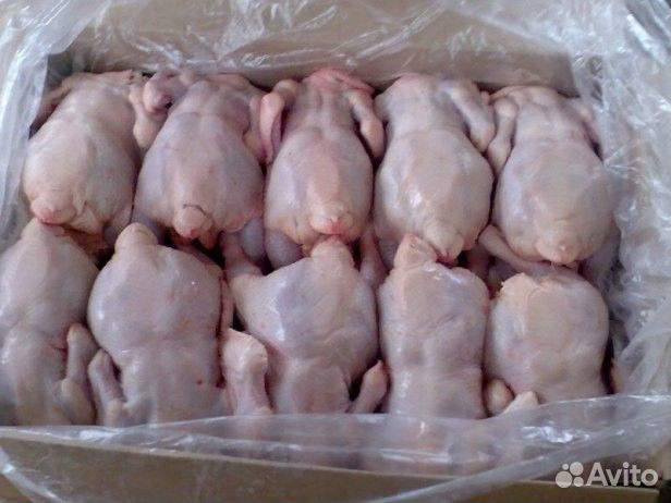 Мясо домашней птицы