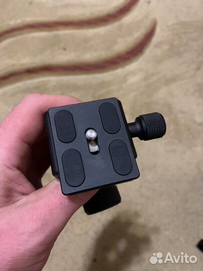 Шаровая фото голова