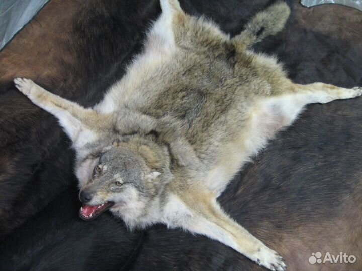 Ковер из волка