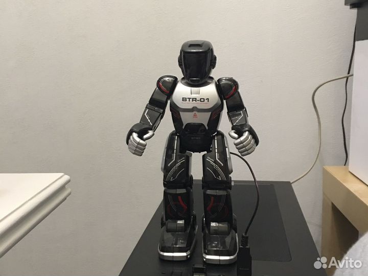 Програмируемый робот