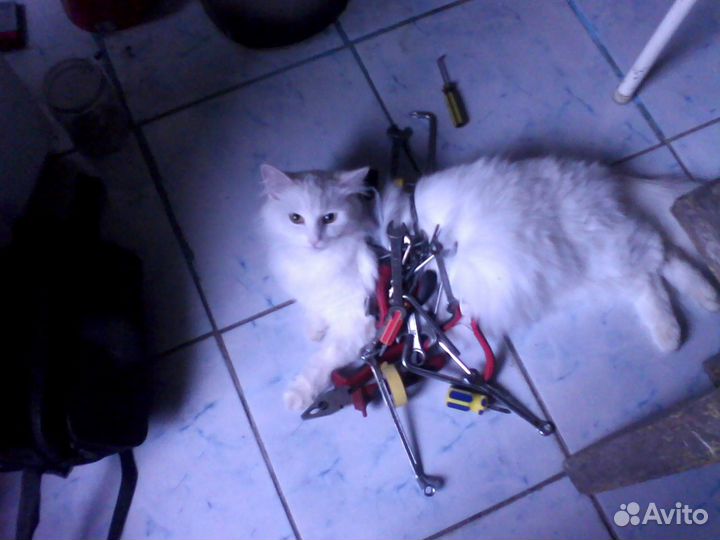 Мастер по ремонту холодильников. Ремонт холодильни