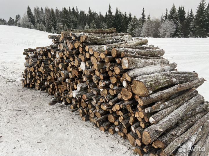 Свежие можевеловые деревья