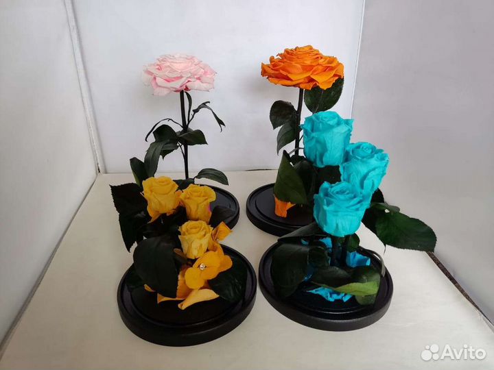 Роза в колбе