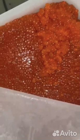 Красная икра оптом