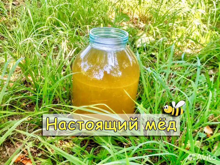 Настоящий Башкирский мёд(мед со своей пасеки)