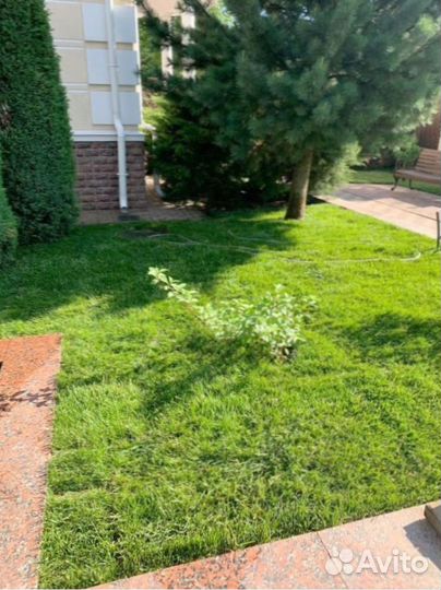 Укладка рулонного газона+Ландшафт участка под ключ